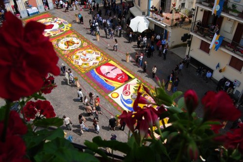 “Omaggio a Papa Francesco nell’Infiorata di Gerano”