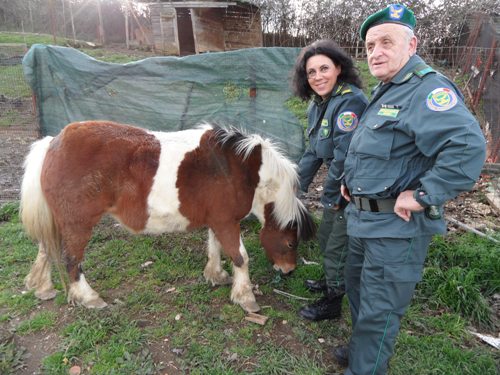 Resoconto attività Guardie Zoofile Comando di Monte Porzio Catone