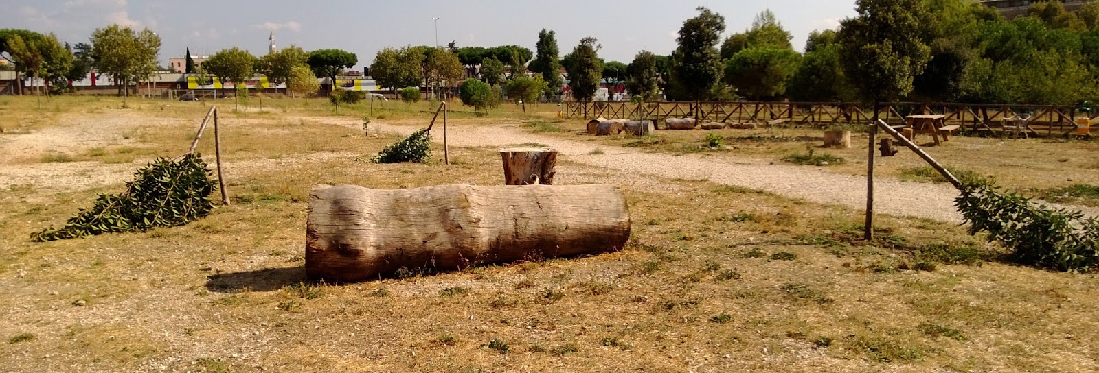 Scempio vandalico alla Garbatella: distrutti 60 alberi