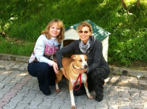 A Fiumicino il primo “cane di quartiere”