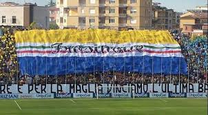 Frosinone in Serie A, Le Mole Calcio fa festa per la promozione ciociaria