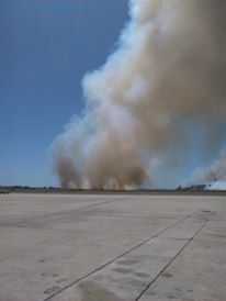 Fiumicino, a fuoco la pineta a due passi dall’aeroporto Da Vinci – FOTO