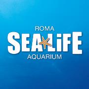 Sea Life Roma Aquarium, la più grande attrazione marina d’Italia