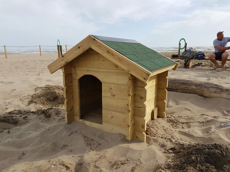 Anzio, spiaggia libera per animali al Lido dei Pini