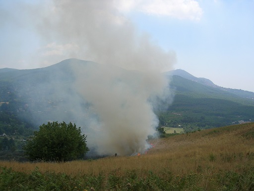 Domenica di fuoco e paura ai Castelli Romani