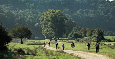 “Tutti i cammini portano a Roma”, l’iniziativa di Earth Day Italia