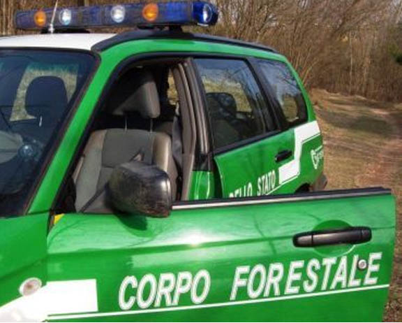 Monte Carnevale, controlli della forestale di Ostia: denunciati 3 cacciatori di frodo