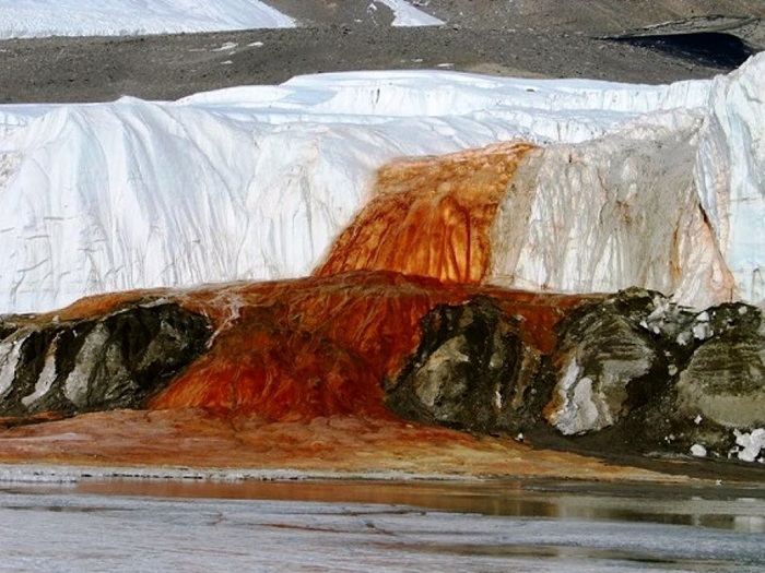 Cascate di sangue, risolto il mistero dell’Antartide