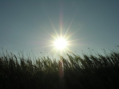 In Italia primavera bollente. “Seconda più calda dal 1800”