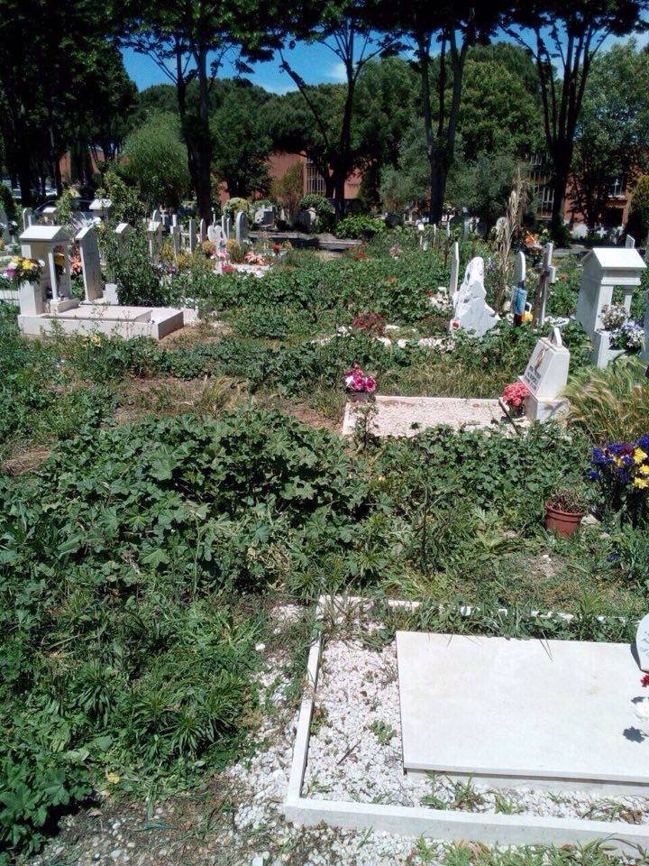 Cimitero Prima Porta nel degrado. “esposto alla procura”