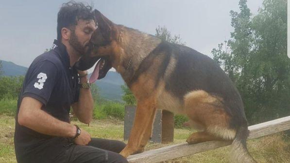 Muove il cane eroe del sisma ad Amatrice. Rivoluzione animalista indignata