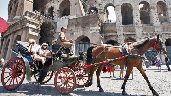 Ok del Tar alle botticelle a Roma. Polemica animalista