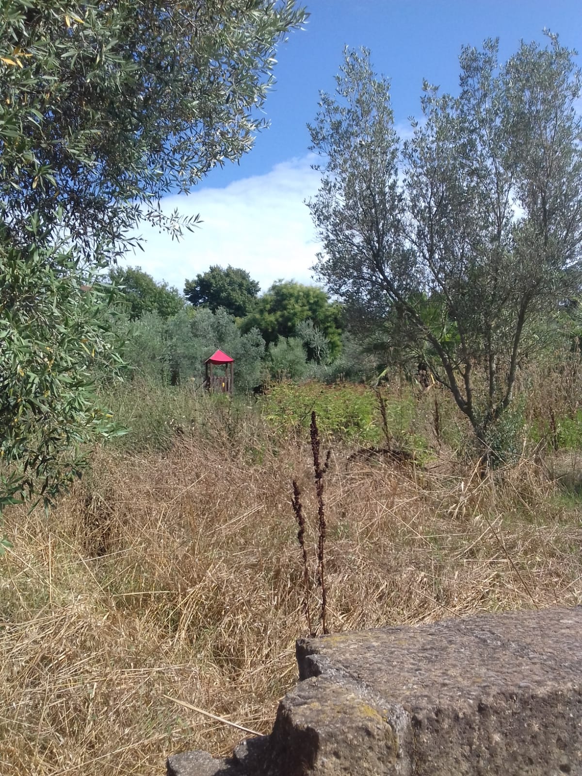 Roma, Il parco di via è Felito è sommerso nel degrado