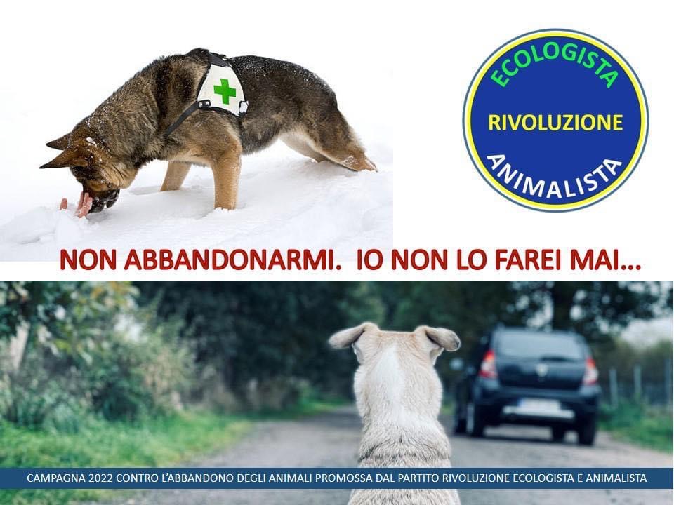 ANIMALI, REA PROMUOVE LA CAMPAGNA 2022 CONTRO L’ABBANDONO