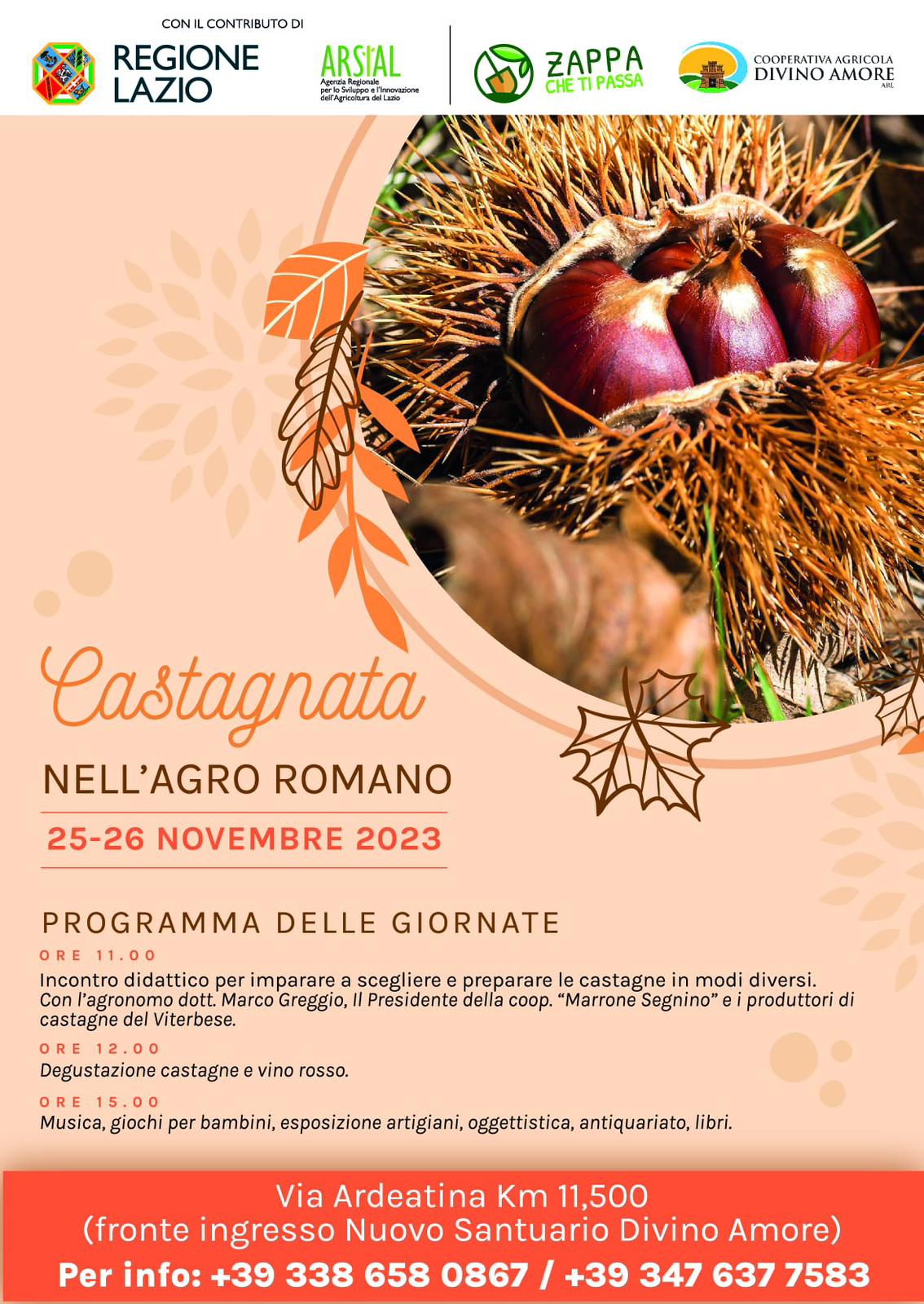 Agricoltura: Castagnata nell’Agro Romano per sostenere le produzioni di castagne