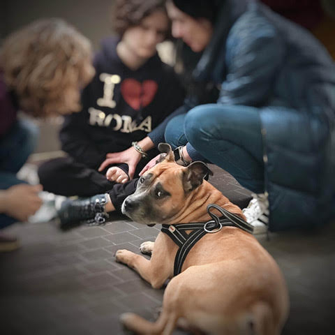 Fondazione Anna Mattioli e pet-therapy: un successo il progetto “Amici a 4 Zampe”