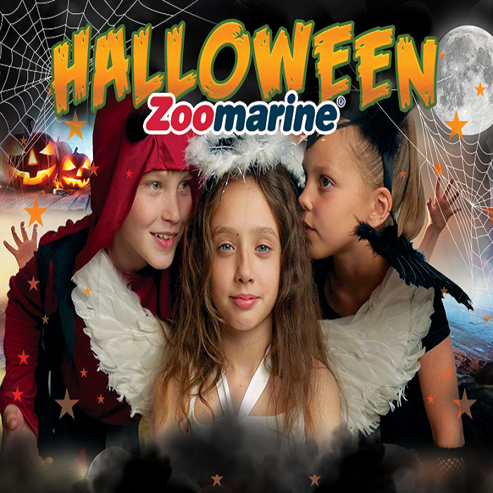 Halloween for family a Zoomarine, un mese da brividi con super novità: zombie camp e zombie paintball