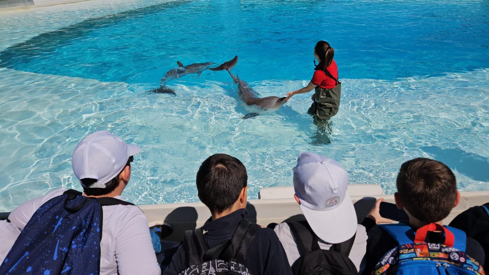 Parco Zoomarine, un viaggio immersivo per educare i più piccoli al rispetto e alla conoscenza degli animali